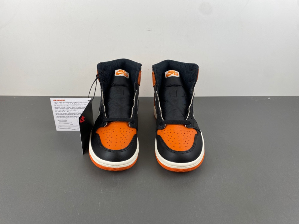 Air Jordan 1 Shattered Backboard DZ5485-008