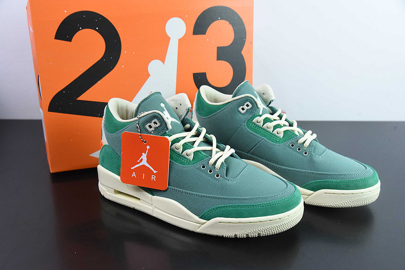 nina Ch*el abney x air jordan 3 